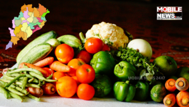 Odisha Cabinet Approves Provision