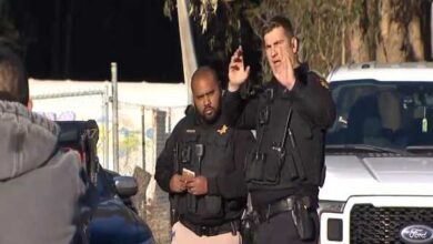 California shootings