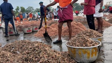 Coastal States Meet 2025