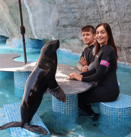 #SurbhiChandna #DolphinEncounter #AbuDhabiDiaries #FeelGoodOriginals #IshtamSong