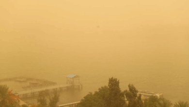 #AustraliaDustStorm #ClimateCrisis #ExtremeWeather #AirQualityAlert #SoilErosion #ClimateChangeAustralia