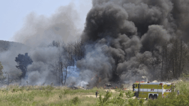 #SouthKoreaPlaneCrash #NavyAircraftCrash #PohangCrash #JejuAirIncident #AviationSafety