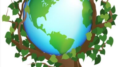 #WorldEnvironmentDay #EndPlasticPollution #PlantTrees #ProtectNature #SustainableFuture