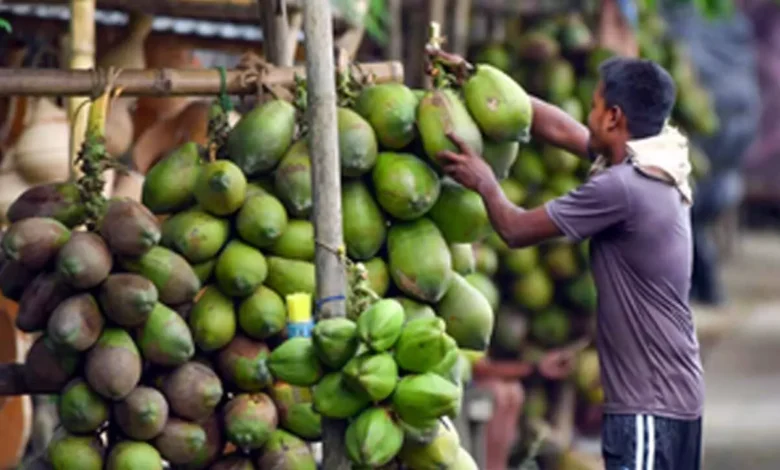Coconut prices double