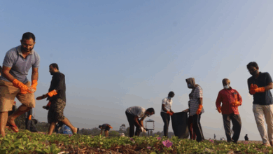 #BeatPlasticPollution #CleanBeaches #GreenGujarat #PlasticFreeIndia #EcoAwareness #GEMICampaign