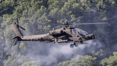 #IAF #ApacheHelicopter #EmergencyLanding #Pathankot #IndianAirForce #MilitarySafety