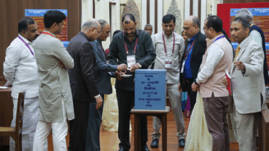 Vice-Presidential elections