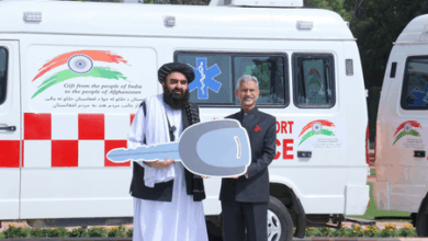 Afghanistan's development