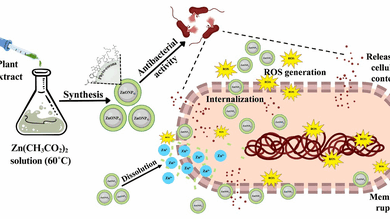 fight antibiotic resistance