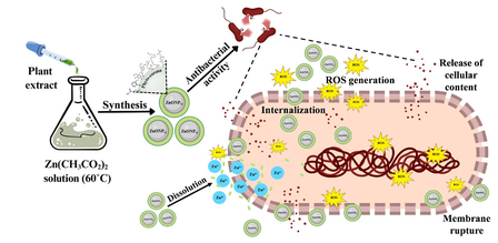 fight antibiotic resistance