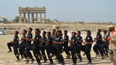 federal levies force