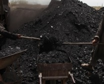CoalSETU Policy Coal Linkage Auction