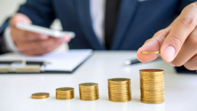 India GDP growth Domestic consumption