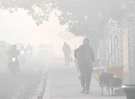 Cold Wave in Delhi-NCR Poor Air Quality
