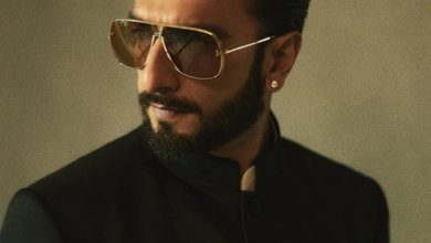 Dhurandhar Box Office Record