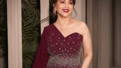 Aamir Khan, Madhuri Dixit