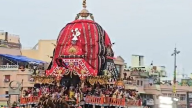 Rath Yatra Anu Garg